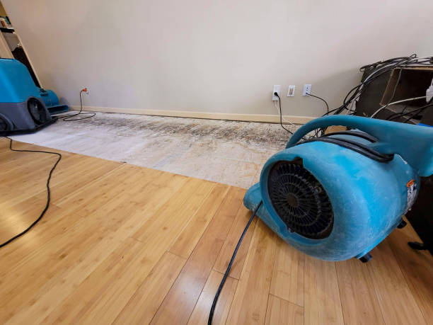 Professional Water Damage Repair technician working in Islamorada, FL